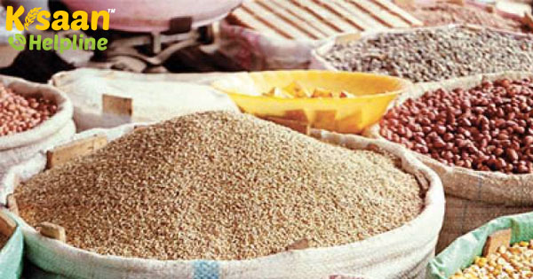 खेती में ड्रिप इरिगेशन से बचाएंगे पानी की एक-एक बूंद, ट्रिपल आईटी को मिला महत्वपूर्ण प्रोजेक्ट